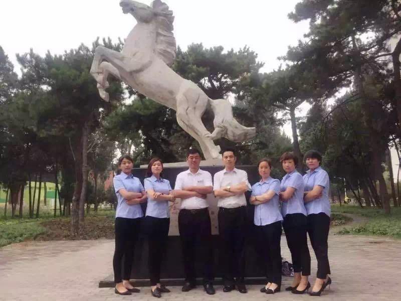 不忘初心，继续前进——运营部“五朵金花”